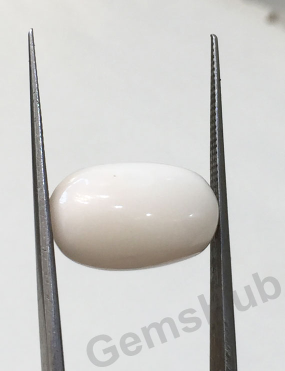 7.05 ct Natural Certified  White Coral/सफ़ेद मूंगा